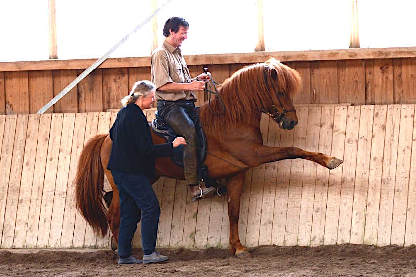 Orri - Spanischer Schritt_1